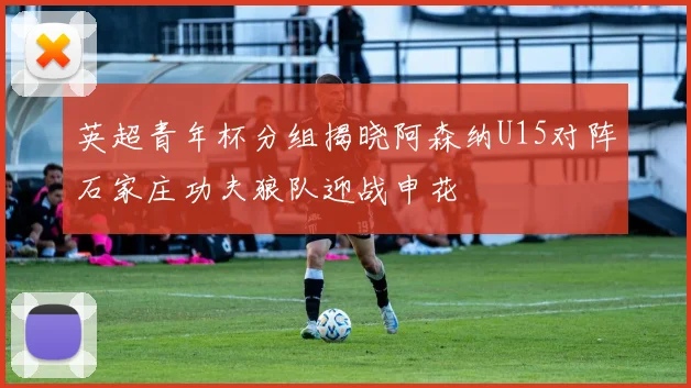 英超青年杯分组揭晓阿森纳U15对阵石家庄功夫狼队迎战申花