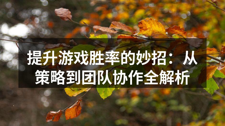 提升游戏胜率的妙招：从策略到团队协作全解析