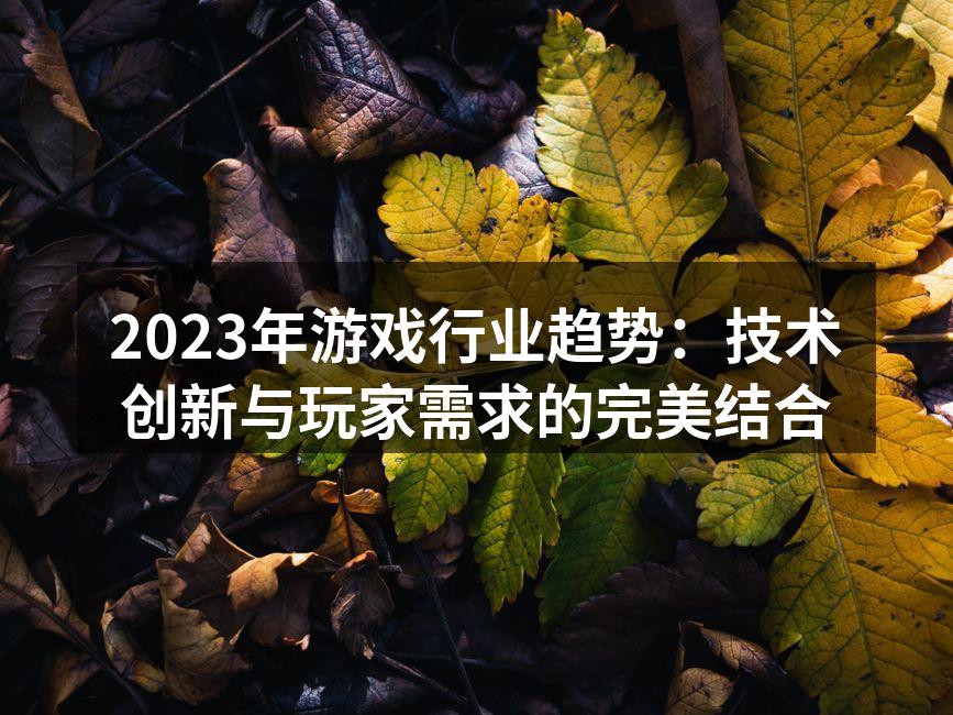 2023年游戏行业趋势：技术创新与玩家需求的完美结合